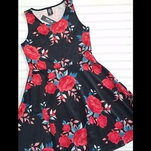 NWT Agnes & Dora Fisher Dress Beautiful 🌹